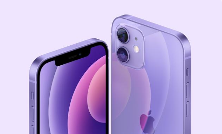 彭山苹果手机维修分享紫色版iPhone 12有什么技术亮点 